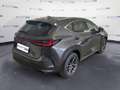 Lexus NX 300 2.5H ECVT 2WD BUSINESS MY24 Grigio - thumbnail 5