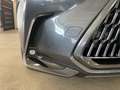Lexus NX 300 2.5H ECVT 2WD BUSINESS MY24 Grigio - thumbnail 14