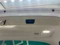 BMW 318 318d Touring Business Advantage CONDIZIONI IMPECCA Blanc - thumbnail 49