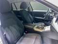 BMW 318 318d Touring Business Advantage CONDIZIONI IMPECCA Blanc - thumbnail 11