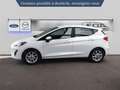 Ford Fiesta 1.0 EcoBoost 125ch mHEV Titanium Business 5p Wit - thumbnail 4