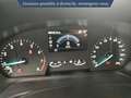 Ford Fiesta 1.0 EcoBoost 125ch mHEV Titanium Business 5p Wit - thumbnail 20
