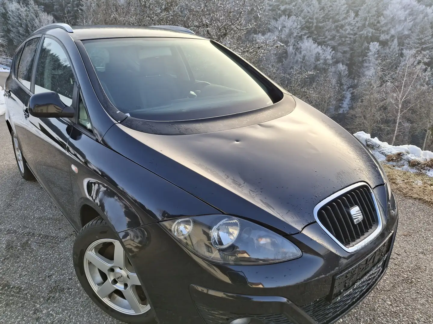 SEAT Altea XL Altea XL Style 1,9 TDi DPF 4WD Style Schwarz - 2