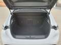 Peugeot 308 Allure 130 HDI EAT8 SHZ 360°K. WINTER-PAKET Blanc - thumbnail 20