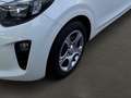 Kia Picanto EDITION 7 EU6d 1.0 DAB,KLIMA,BLUETOOTH Weiß - thumbnail 3
