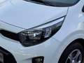 Kia Picanto EDITION 7 EU6d 1.0 DAB,KLIMA,BLUETOOTH Weiß - thumbnail 4