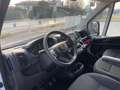 Fiat Ducato NUOVO-MAXI 35 2.2 Mjd 140CV PM-TM FURGONE L2 H2 Bianco - thumbnail 15