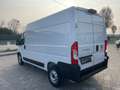 Fiat Ducato NUOVO-MAXI 35 2.2 Mjd 140CV PM-TM FURGONE L2 H2 Bianco - thumbnail 5