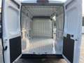Fiat Ducato NUOVO-MAXI 35 2.2 Mjd 140CV PM-TM FURGONE L2 H2 Bianco - thumbnail 8