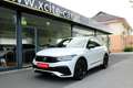 Volkswagen Tiguan R-LINE E-HYBRID, TOP-AUSFÜHRUNG, GARANTIE Weiß - thumbnail 2