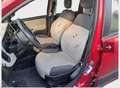 Fiat New Panda Fiat Panda 12, benzina guidabile neopatentato - thumbnail 8