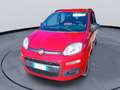 Fiat New Panda Fiat Panda 12, benzina guidabile neopatentato - thumbnail 3