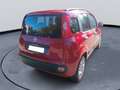 Fiat New Panda Fiat Panda 12, benzina guidabile neopatentato - thumbnail 4