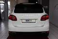 Porsche Cayenne S Hybrid Panorama LEDER*Scheckheft Weiß - thumbnail 4