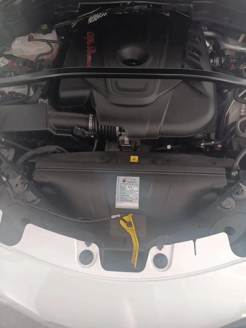 Alfa Romeo Stelvio Stelvio Veloce 2,2 16V 210 AT8 Q4 Veloce Weiß - 2