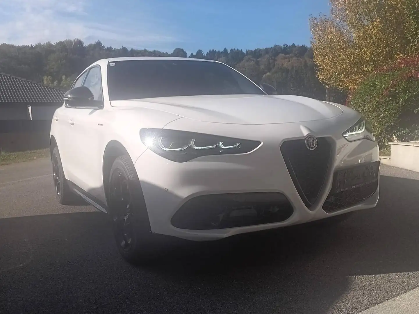 Alfa Romeo Stelvio Stelvio Veloce 2,2 16V 210 AT8 Q4 Veloce Weiß - 1