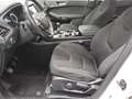 Ford S-Max 2.0 EcoBlue Trend AHK KeyLess DynLicht LM Weiß - thumbnail 8