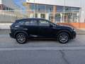 Lexus NX 300 300h Executive 4WD Negro - thumbnail 20