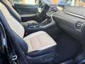 Lexus NX 300 300h Executive 4WD Negro - thumbnail 5