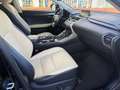 Lexus NX 300 300h Executive 4WD Negro - thumbnail 22