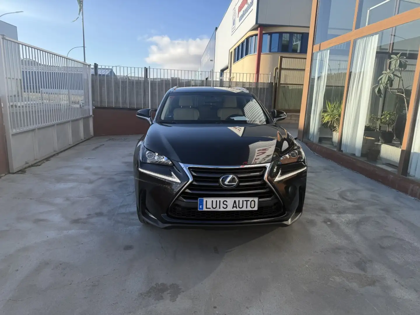 Lexus NX 300 300h Executive 4WD Negro - 2