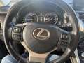 Lexus NX 300 300h Executive 4WD Negro - thumbnail 18