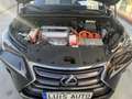 Lexus NX 300 300h Executive 4WD Negro - thumbnail 19