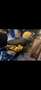 BMW F 650 GS Jaune - thumbnail 3