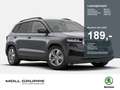 Skoda Karoq 1.5 TSI ACT Selection MATRIX 2xKLIMA ACC Grau - thumbnail 1