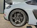 Porsche 718 GT4 RS Grau - thumbnail 9