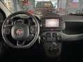 Fiat Panda Red~Klimaauto~DAB~5 Sitze~top Rot - thumbnail 11