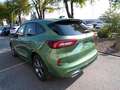 Ford Kuga ST Line 1,5 i Automatik  Winterpaket / FGS 5 Jahre Grün - thumbnail 5