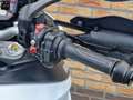 Ducati Multistrada 950 Blanc - thumbnail 21