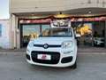 Fiat Panda 1.0 FireFly S&S Hybrid Easy Blanc - thumbnail 2