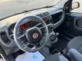 Fiat Panda 1.0 FireFly S&S Hybrid Easy Blanc - thumbnail 14