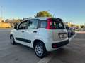 Fiat Panda 1.0 FireFly S&S Hybrid Easy Blanc - thumbnail 6