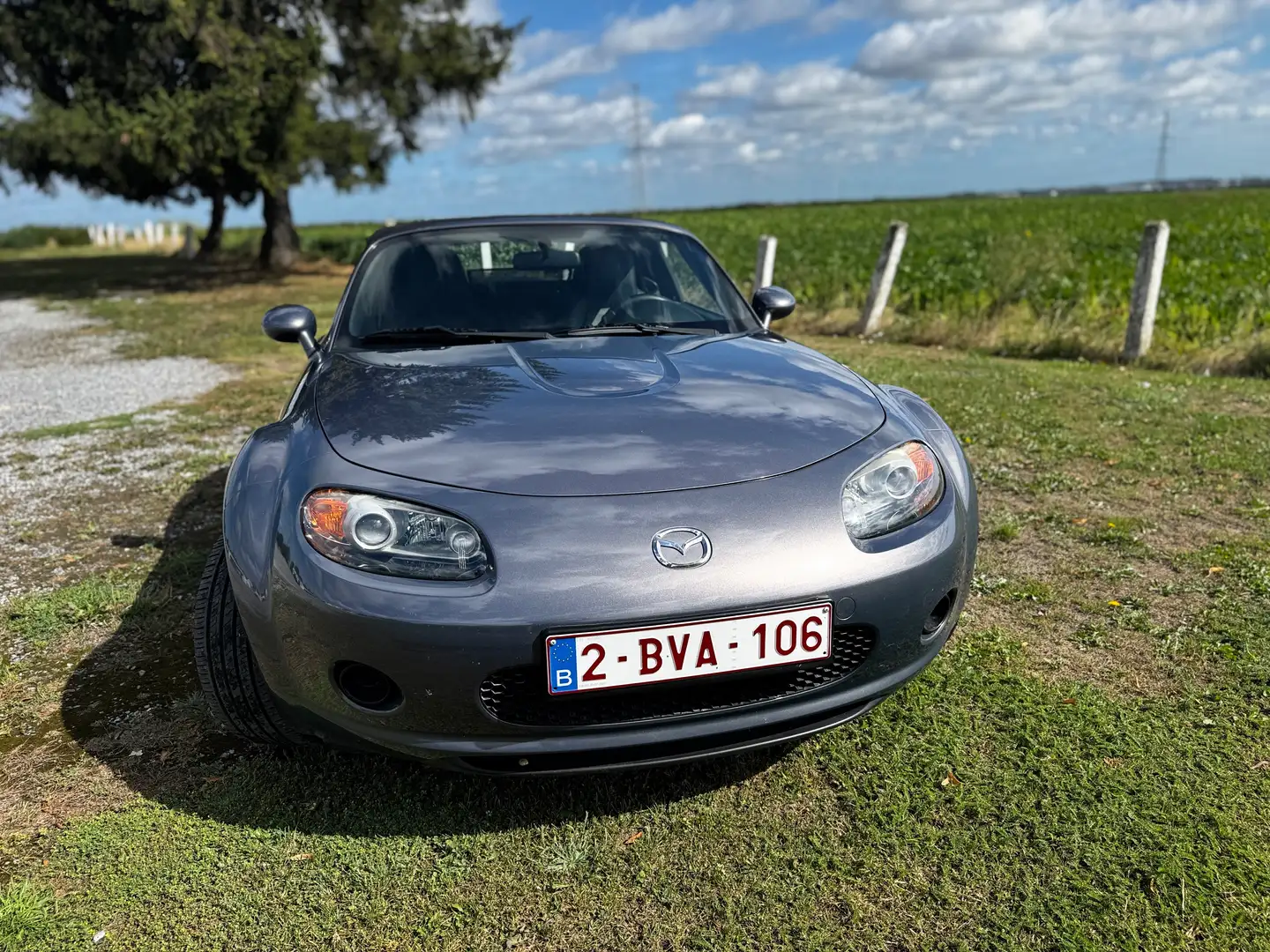Mazda MX-5 MX-5 1.8 MZR Energy Gri - 2