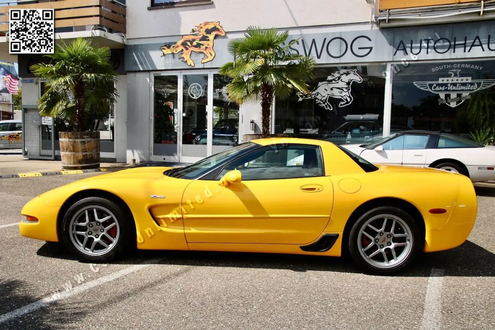 Corvette Z06 C5 Z06 - Original Zustand - 1 Vorbesitzer - TOP Amarillo - 2