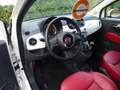 Fiat 500C Cabrio Lounge Vollleder,TÜV NEU, inkl. Garantie Biały - thumbnail 12