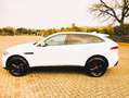 Jaguar F-Pace F-Pace 2015 2.0d i4 Pure awd 180cv auto my18 Bianco - thumbnail 3