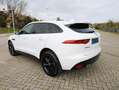 Jaguar F-Pace F-Pace 2015 2.0d i4 Pure awd 180cv auto my18 Bianco - thumbnail 1