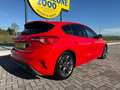 Ford Focus 1.0 EcoBoost 125 CV 5p. ST-Line PREZZO REALE Rouge - thumbnail 4