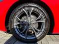 Ford Focus 1.0 EcoBoost 125 CV 5p. ST-Line PREZZO REALE Rouge - thumbnail 9