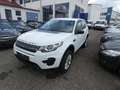 Land Rover Discovery Sport Pure Weiß - thumbnail 3