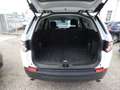 Land Rover Discovery Sport Pure Weiß - thumbnail 6
