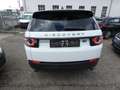 Land Rover Discovery Sport Pure Weiß - thumbnail 5