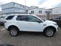 Land Rover Discovery Sport Pure Weiß - thumbnail 8