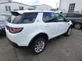 Land Rover Discovery Sport Pure Weiß - thumbnail 7