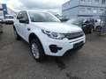 Land Rover Discovery Sport Pure Weiß - thumbnail 1