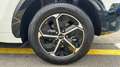 Kia Niro 1.6 GDI PHEV DRIVE 183 5P Wit - thumbnail 10